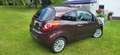 Ford Ka/Ka+ Ka 1.2 Start-Stopp-System Titanium - thumbnail 9