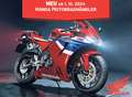 Honda Dax - thumbnail 6