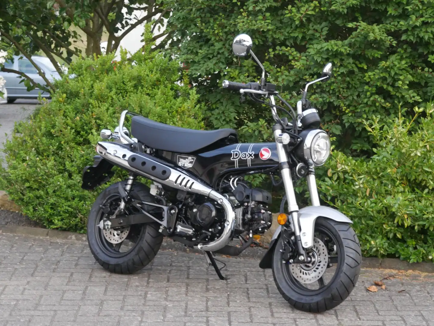 Honda Dax - 1