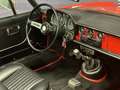 Alfa Romeo Spider 1.300 JUNIOR ( Duetto ) Rot - thumbnail 9