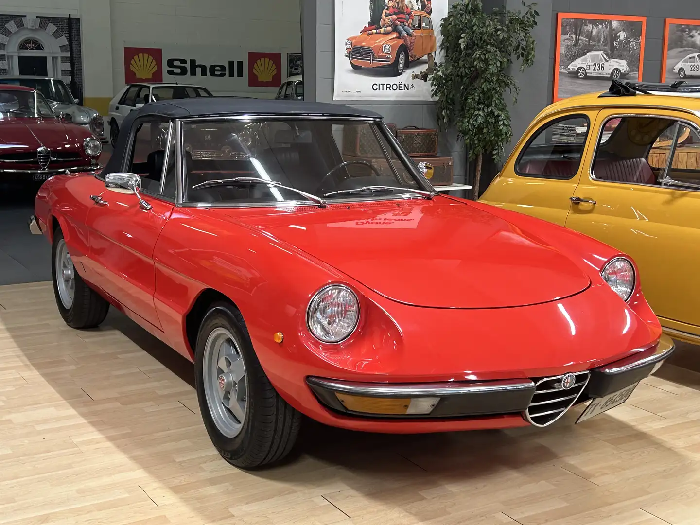 Alfa Romeo Spider 1.300 JUNIOR ( Duetto ) Rot - 2