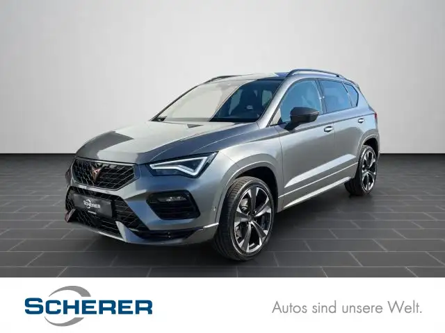 CUPRA Ateca 1.5 TSI DSG CarPlay Rückfahrkamera