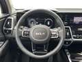 Kia Sorento SORENTO 1.6T HEV AWD DCT Platinum 7-Sitze Pano H Negru - thumbnail 12