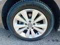 Volkswagen Golf 5p 1.6 tdi 110CV Comfortline 110cv E6 Beige - thumbnail 2