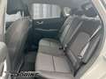 Hyundai KONA Hybrid Select 1.6 Automatik141 PS Winterpaket Gris - thumbnail 10