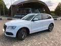 Audi SQ5 SQ5 3.0 TDI quattro tiptronic - thumbnail 15