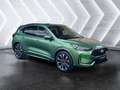 Ford Kuga 2,5L Hybrid **ST-Line X** Allrad Grün - thumbnail 7