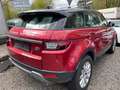 Land Rover Range Rover Evoque SE Klima Leder Navi Xenon Alu Rot - thumbnail 4