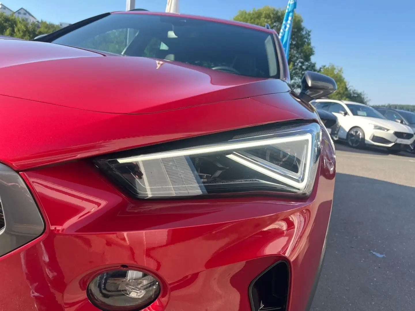CUPRA Formentor 1,5 TSI Panodach Rot - 2