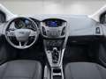 Ford Focus 1,0 EcoBoost Trend | 1.BESITZ | PICKERL NEU | Rot - thumbnail 9
