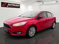 Ford Focus 1,0 EcoBoost Trend | 1.BESITZ | PICKERL NEU | Rot - thumbnail 1