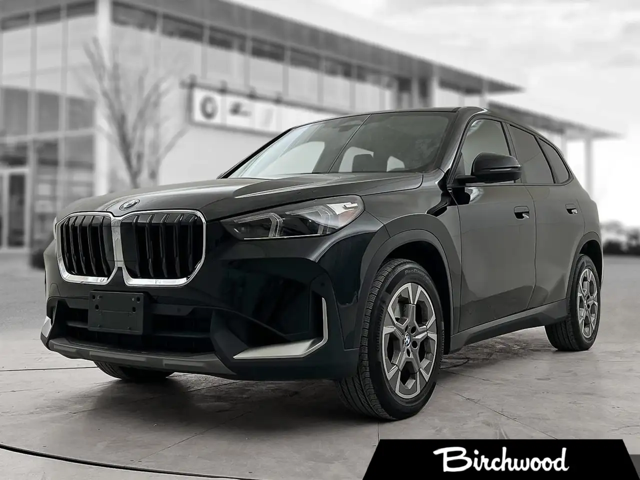 2024 BMW X1