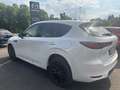 Mazda CX-60 2025 Homura 3.3L e-SKYACTIV-D 254PS AWD *Convenien Weiß - thumbnail 3