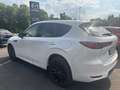 Mazda CX-60 2025 Homura 3.3L e-SKYACTIV-D 254PS AWD *Convenien Blanc - thumbnail 3