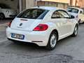 Volkswagen Maggiolino Maggiolino 1.6 tdi Design 105cv Bianco - thumbnail 5