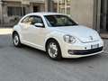 Volkswagen Maggiolino Maggiolino 1.6 tdi Design 105cv Bianco - thumbnail 3