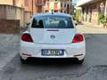 Volkswagen Maggiolino Maggiolino 1.6 tdi Design 105cv Bianco - thumbnail 6