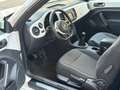 Volkswagen Maggiolino Maggiolino 1.6 tdi Design 105cv Bianco - thumbnail 9