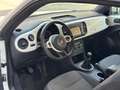 Volkswagen Maggiolino Maggiolino 1.6 tdi Design 105cv Bianco - thumbnail 10