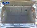 Ford Focus 1.0 Ecoboost MHEV Active 155 - thumbnail 19
