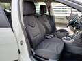 Peugeot 308 1.6 8V e-HDi 112CV S&S 5p. Business Automatica Bianco - thumbnail 8
