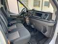 Ford Transit 350 2.0TDCiEcoBlue 130  PL-TA Jumbo L4 H3 Bianco - thumbnail 6