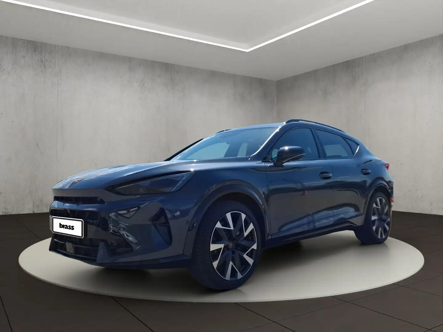 CUPRA Formentor VZ 2.0 TSI 245 kW (333 PS) 7-G 4Drive Grau - 1