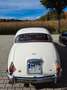 Jaguar MK II Wertgutachten Note 2, 4.2-Liter-Motor Bianco - thumbnail 5