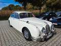 Jaguar MK II Wertgutachten Note 2, 4.2-Liter-Motor Bianco - thumbnail 10