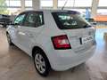 Skoda Fabia 1.4TDI Style 66kW Blanco - thumbnail 6