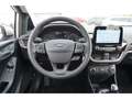 Ford Fiesta 1.1-Klima-hzb.WSS-Sihz-RFKamera-Navi-PDC-EU6 Zilver - thumbnail 17