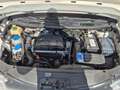 Volkswagen Caddy Caddy Life 1,9 TDI D-PF 4MOTION Life Weiß - thumbnail 12
