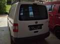 Volkswagen Caddy Caddy Life 1,9 TDI D-PF 4MOTION Life Weiß - thumbnail 5