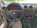 Volkswagen Caddy Caddy Life 1,9 TDI D-PF 4MOTION Life Weiß - thumbnail 2