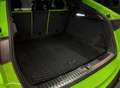 Lamborghini Urus 4.0 V8 Aut. Yeşil - thumbnail 13
