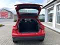 Audi Q2 1.6 TDI *LED*AHK*Klima*PDC* Rouge - thumbnail 9