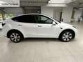 Tesla Model Y Model Y Long Range Dual Motor AWD Blanc - thumbnail 7