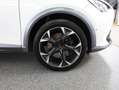 CUPRA Formentor Basis Weiß - thumbnail 9