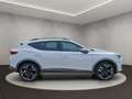 CUPRA Formentor 1.5 TSI Full Link Rückfahrkamera Panor Weiß - thumbnail 6