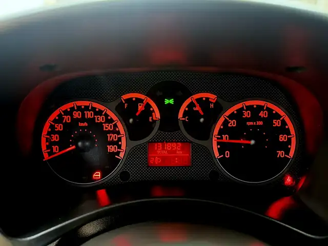 Fiat Panda view 6