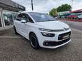 Citroen C4 SpaceTourer C4 Spacetourer PureTech 130 S&S EAT6 Feel Edition Weiß - thumbnail 1