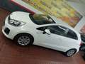 Kia Rio 1.2 CVVT Concept Blanco - thumbnail 10