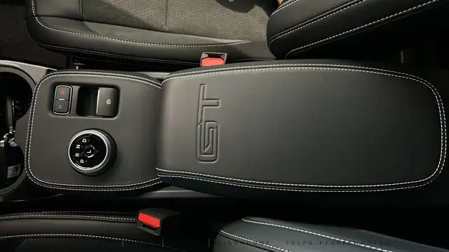 Ford Mustang Mach-E GT AWD Ansicht 34