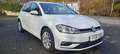 Volkswagen Golf Golf VII Diesel DSG/Voll Scheckheft/Wunderschön Weiß - thumbnail 10