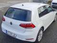Volkswagen Golf Golf VII Diesel DSG/Voll Scheckheft/Wunderschön Weiß - thumbnail 14