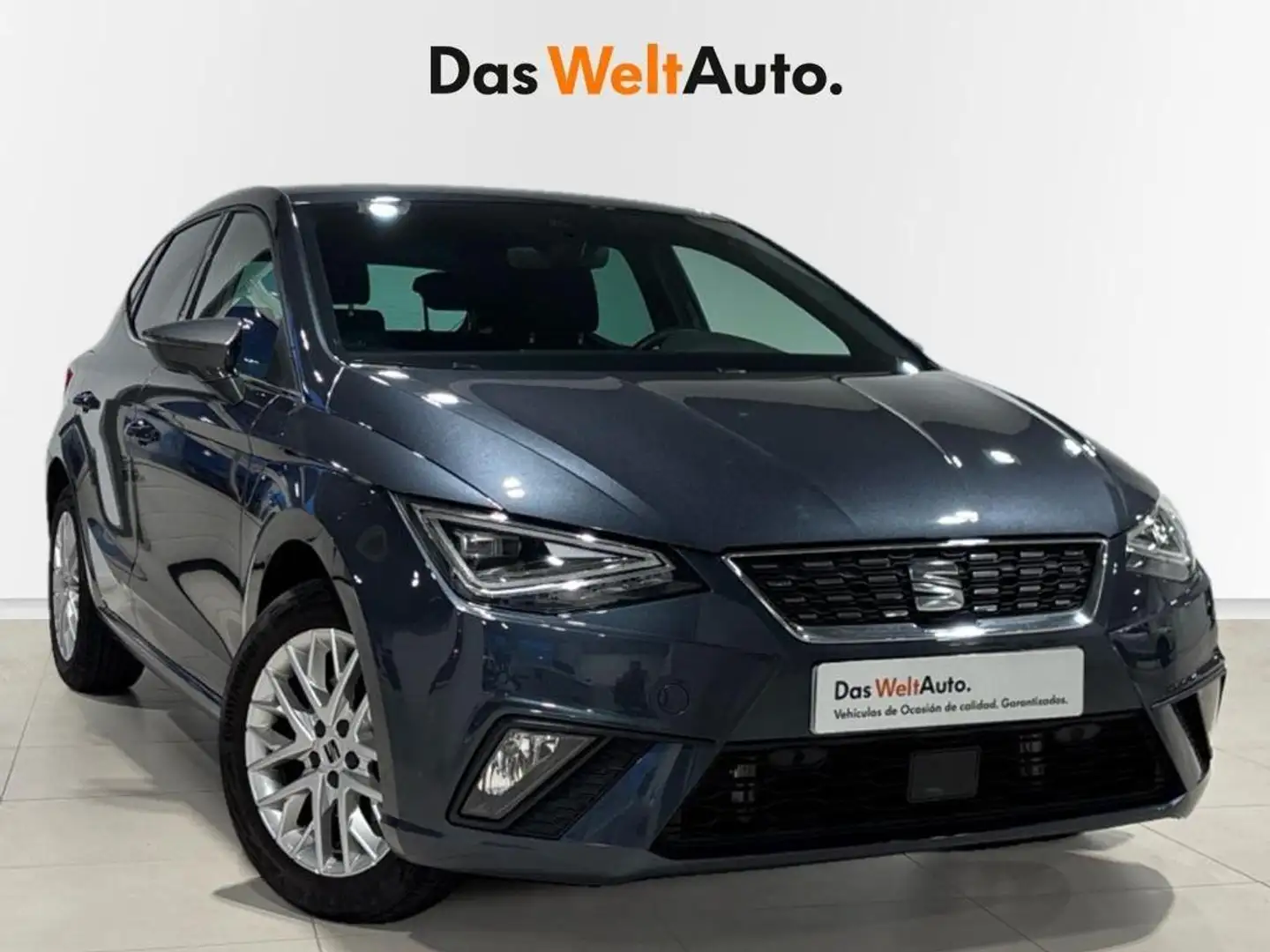 SEAT Ibiza 1.0 TSI S&S Special Edition 115 Gris - 1