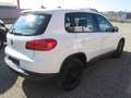 Volkswagen Tiguan 2,0 TDI Cool BMT Weiß - thumbnail 5