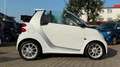 smart forTwo Cabrio PASSION *ROTES INTERIEUR* SERVO! TEMPOMAT Weiß - thumbnail 10