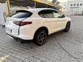 Alfa Romeo Stelvio 2.2 t Sport Edition Q4 210cv auto - thumbnail 6