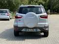Ford EcoSport 1.0 ecoboost s/reg.vel. 125cv Neopatentati Euro 5B - thumbnail 4